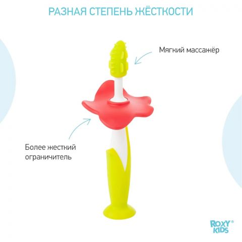 Щетки детские зубные массажер прорезыватель для десен FLOWER от ROXY-KIDS зеленый, коралловый, 2 шт